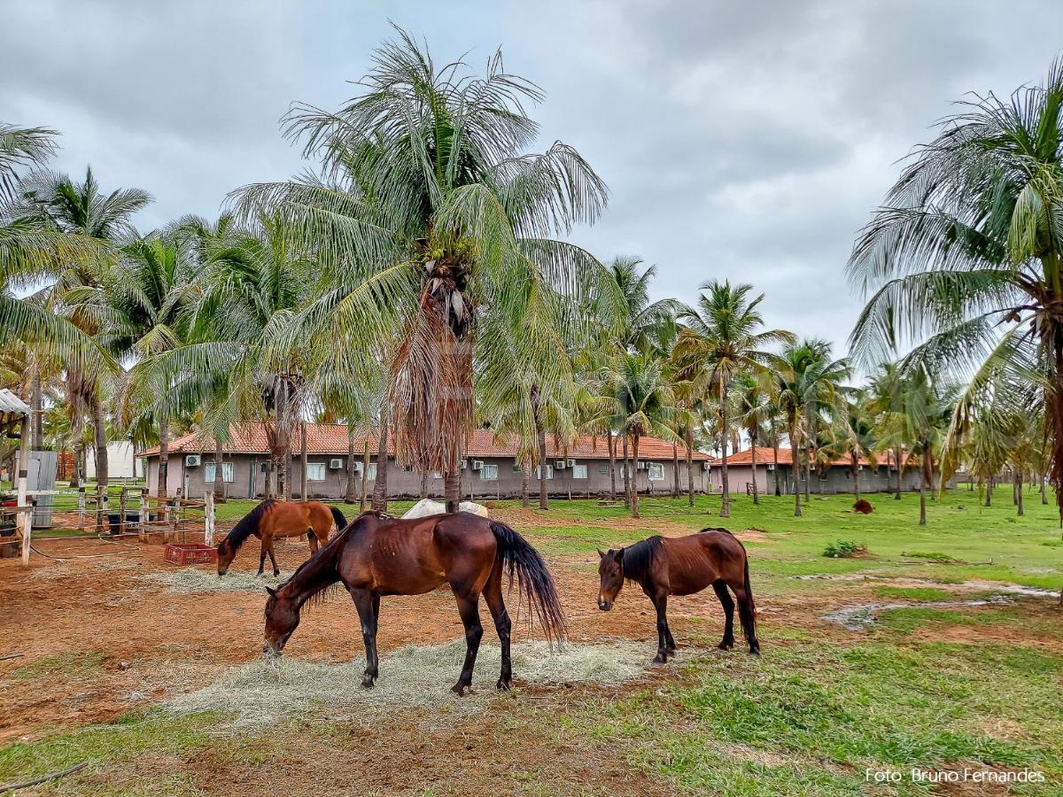 Campo Belo Resort プレジデンテ・プルデンテ エクステリア 写真